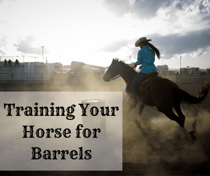 Being a professional cowgirl means knowing how to train a horse.
