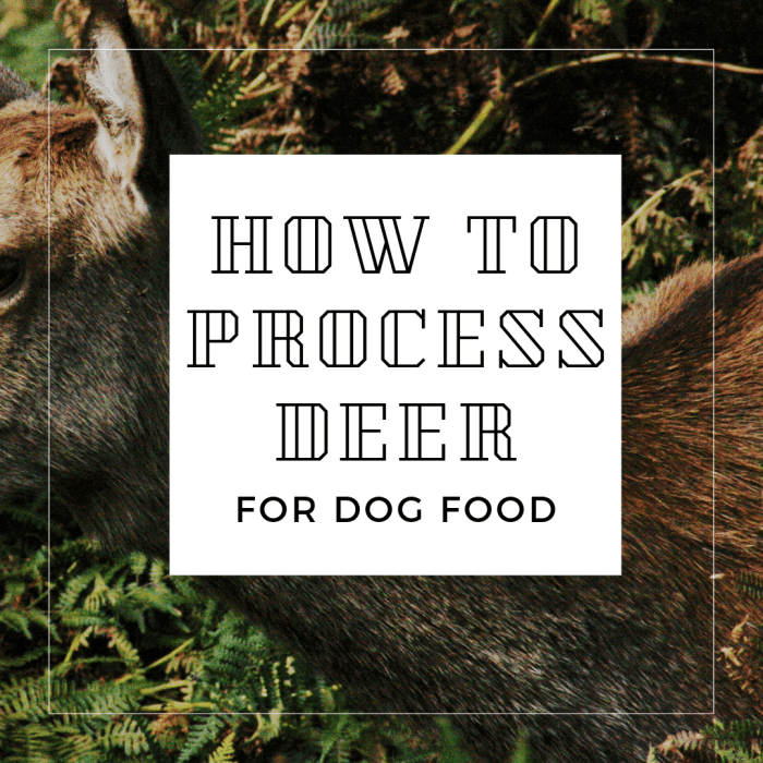 How to Skin a Deer for Raw Dog Food: An Illustrated Guide - PetHelpful