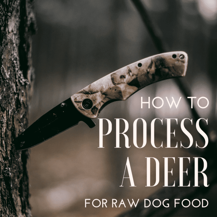 How to Cut Up a Deer for Dog Food: An Illustrated Guide - PetHelpful