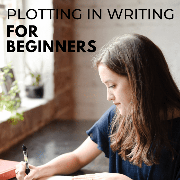 the-plot-thickens-plotting-for-beginners-hobbylark