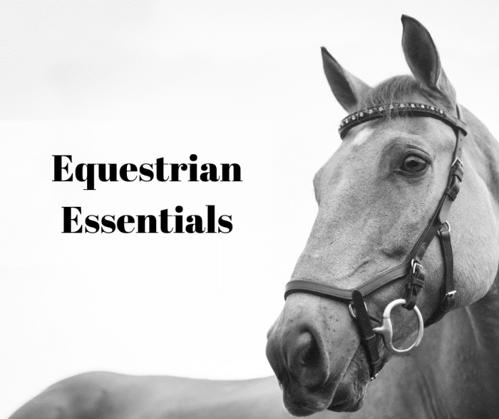 Equestrian Essentials Horse Riding Equipment and Horse Clothing