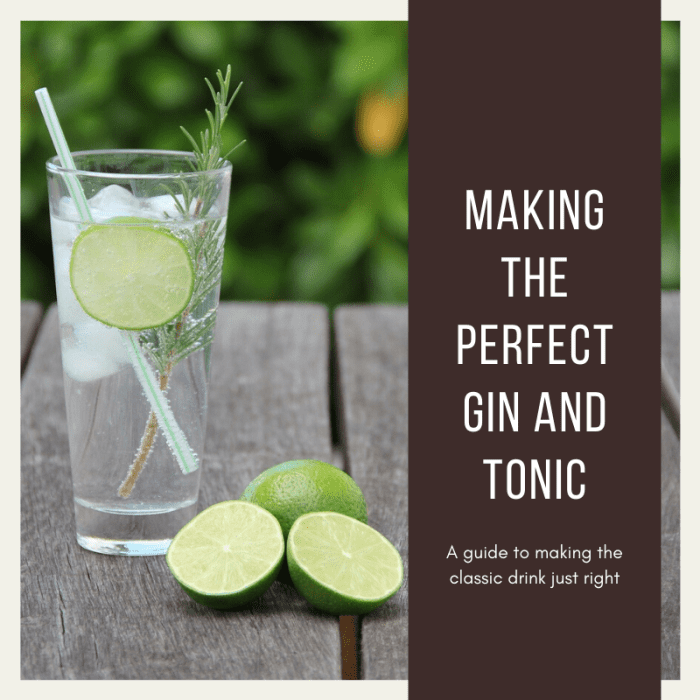 How to Make the Perfect Gin and Tonic Delishably