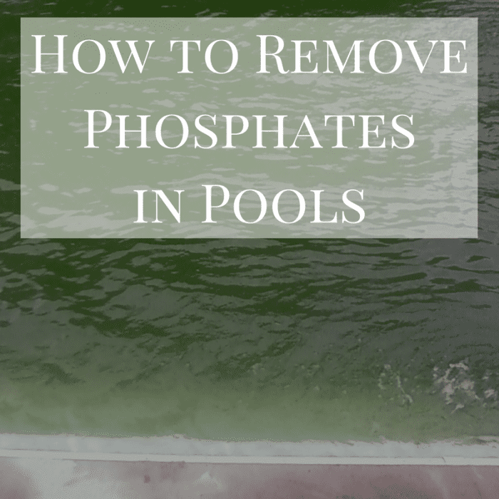 How to Remove High Stabilizer and Phosphates in a Pool Dengarden