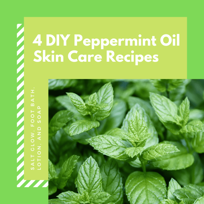 This article will compile four different recipes for making homemade skin care products based on the restorative powers of peppermint oil.