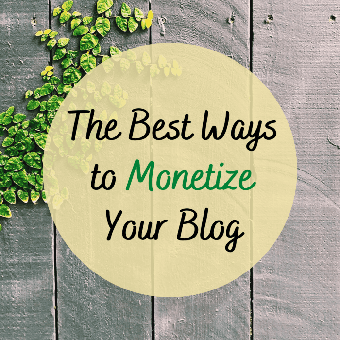 Discover some methods for making money off your blog, from selling products to featuring tailored ads.