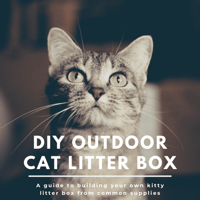 This guide will break down how to make your own outdoor cat litter box from some common building materials and some Oil-Dri.