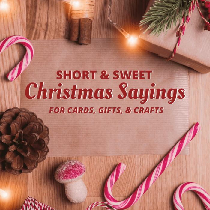 Some of these short sayings are funny and some are sincere. All of them are perfect for cards, gifts, crafts, and anything else Christmas-related.