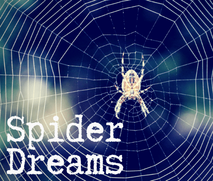 What does it mean if you dream about spiders or spider webs?