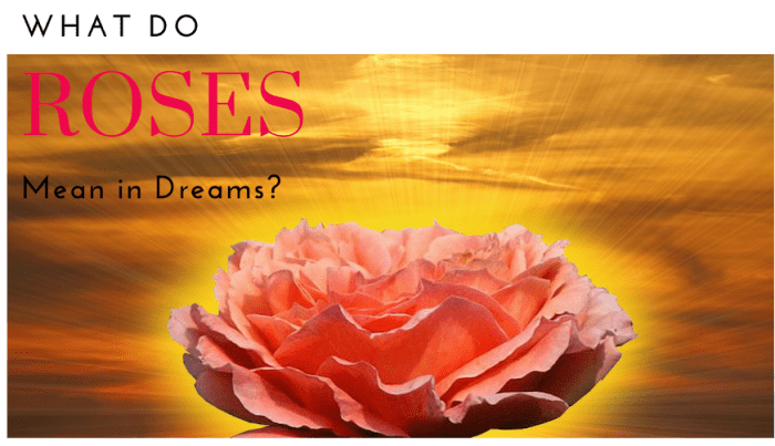 what-do-roses-mean-in-dreams-exemplore