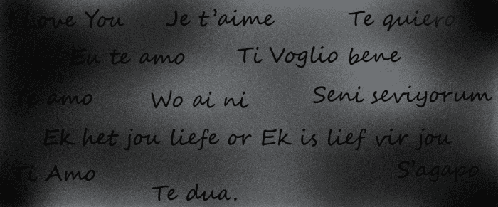 I love you in other languages. The languages used were: English, Portuguese, Spanish, Greek, French, Italian, Chinese, Turkish, Albanian, and Afrikaans.