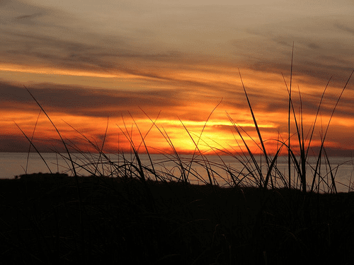 Race Point at sunset, in Provincetown. Photo by kimbospacenut on flickr, licensed under Creative Commons 2.0.