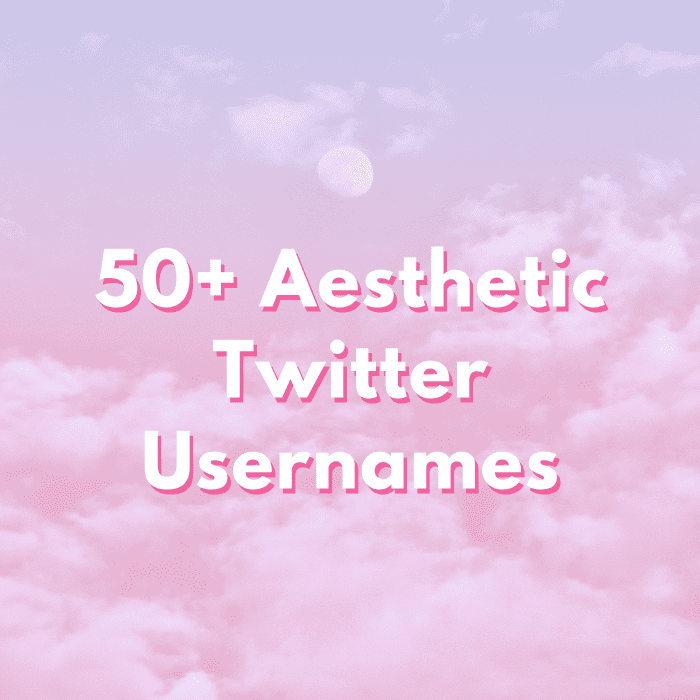 50+ Aesthetic Twitter Usernames and Ideas: The Ultimate List - TurboFuture