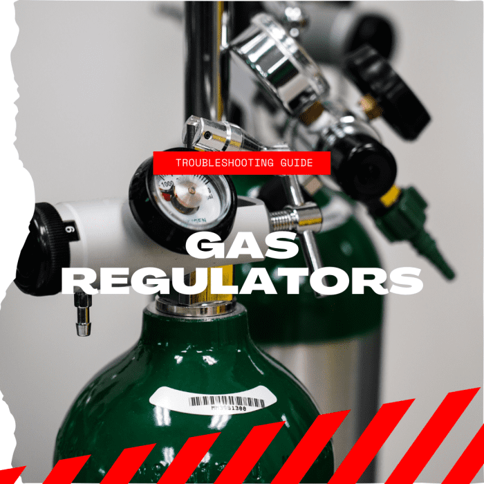 Gas Regulator Troubleshooting TurboFuture