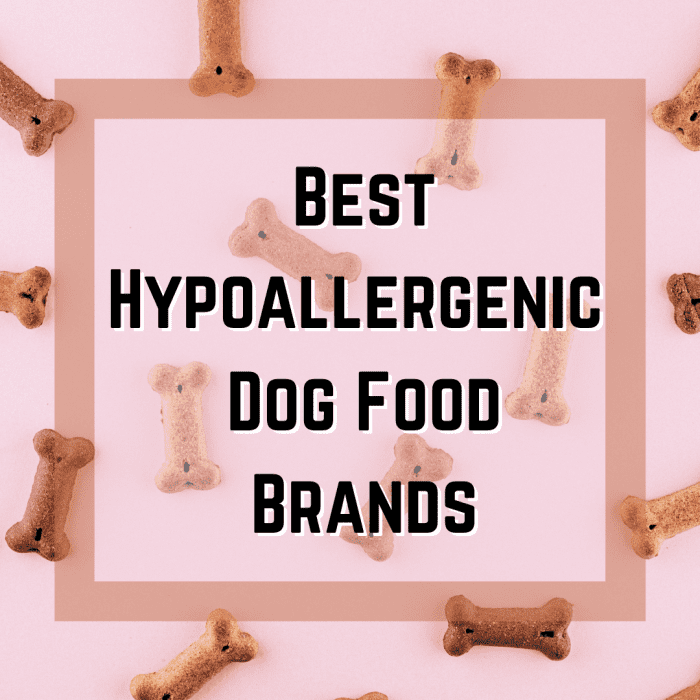 Top 5 Hypoallergenic Dog Food Brands PetHelpful