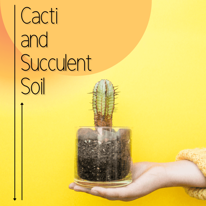 Cacti and succulent soil