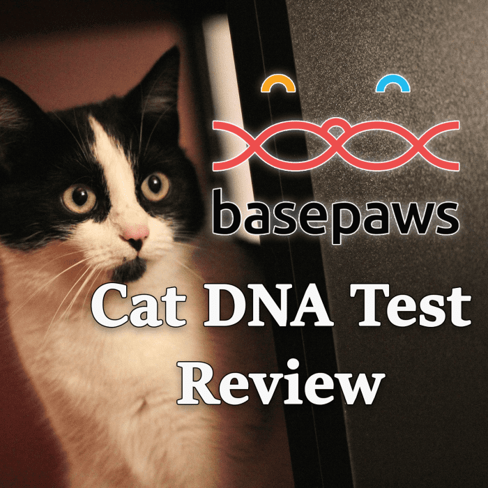 Basepaws Cat DNA Test Review - PetHelpful