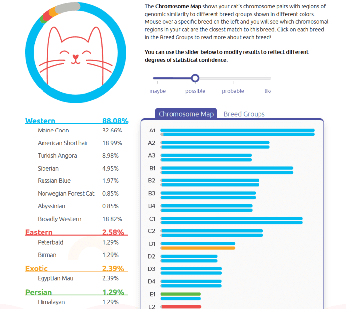 Basepaws Cat DNA Test Review - PetHelpful