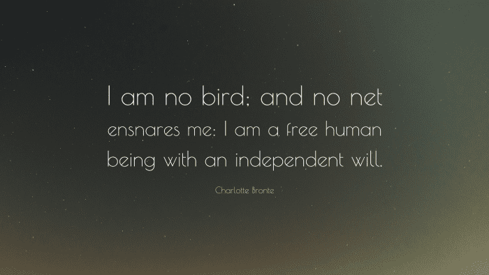 “I am no bird; and no net ensnares me: I am a free human being with an independent will.” ― Charlotte Bronte