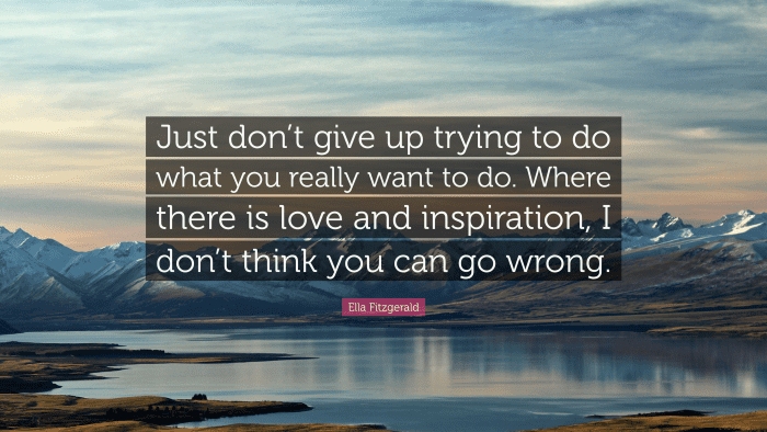 Just don’t give up trying to do what you really want to do. Where there is love and inspiration, I don’t think you can go wrong.” — Ella Fitzgerald