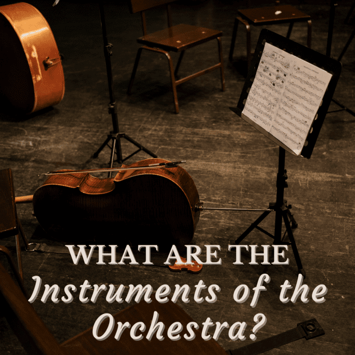 A Beginner’s Guide to Instruments of the Orchestra HubPages
