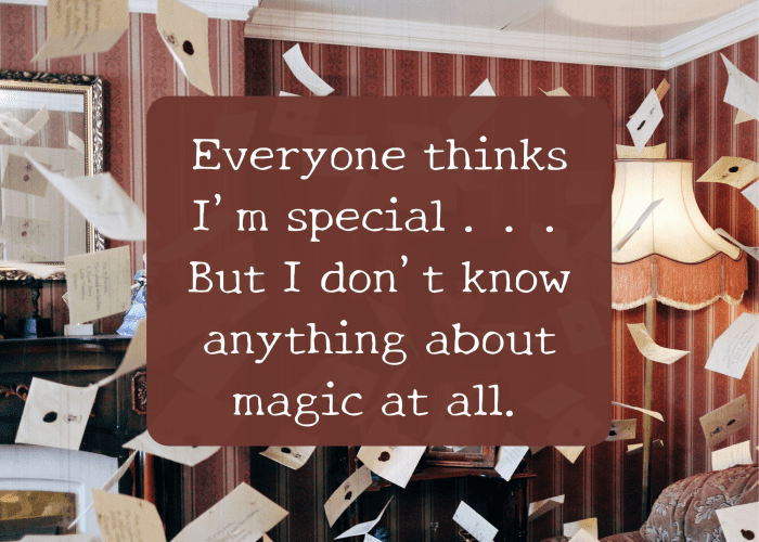 This is one of Harry's quotes from the beginning of "Sorcerer's Stone" (or "Philosopher's Stone," depending on where you live).