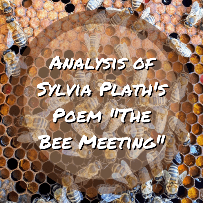 Analysis of Poem 'The Bee Meeting' by Sylvia Plath Owlcation