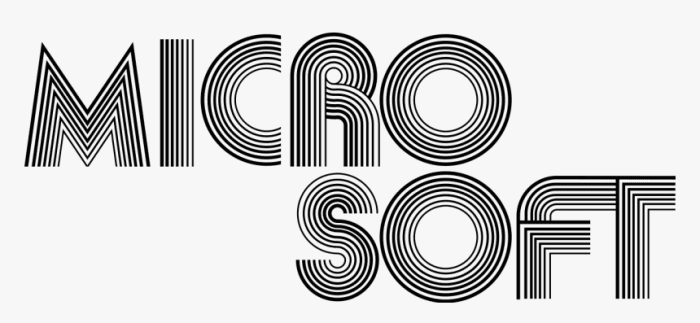 In 1975, Microsoft was founded as a partnership between Bill Gates and Paul Allen to develop and sell computer software.