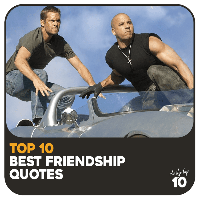 Top 10 Best Friendship Quotes Featuring Vin Diesel and Paul Walker and Other Real Celebrity