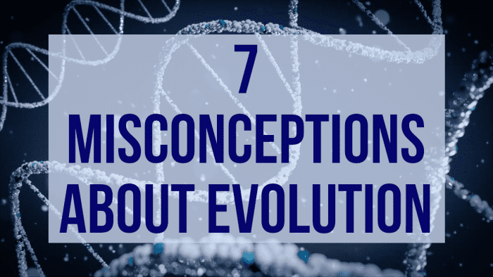 There are some common misconceptions that people have about evolution and natural selection, this article examines seven of them.