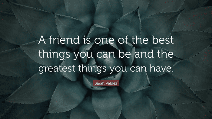 “A friend is one of the best things you can be and the greatest things you can have.” — Sarah Valdez