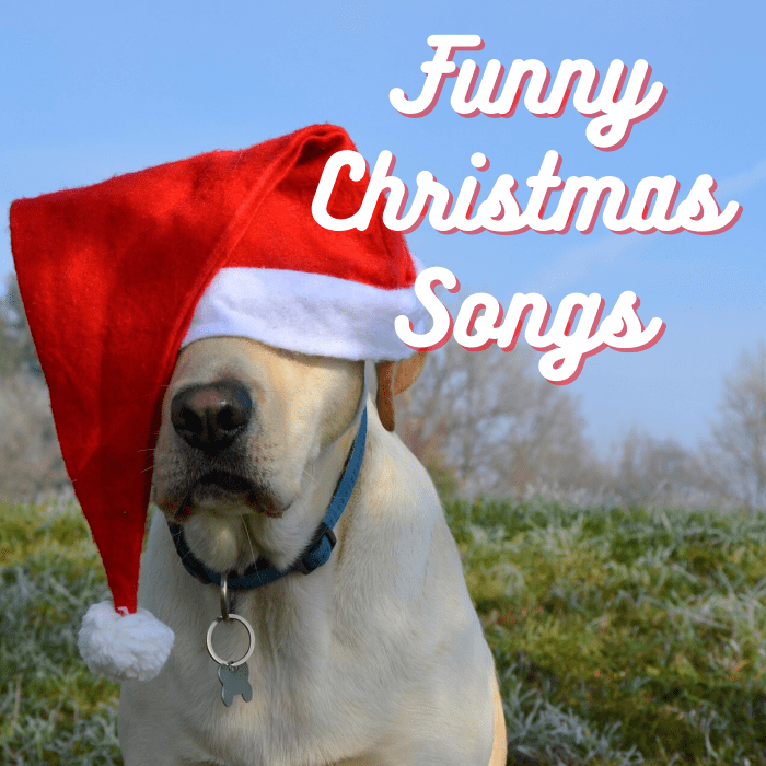 Add some humor to your holiday season with a playlist of funny pop, rock, country, and novelty Christmas songs.