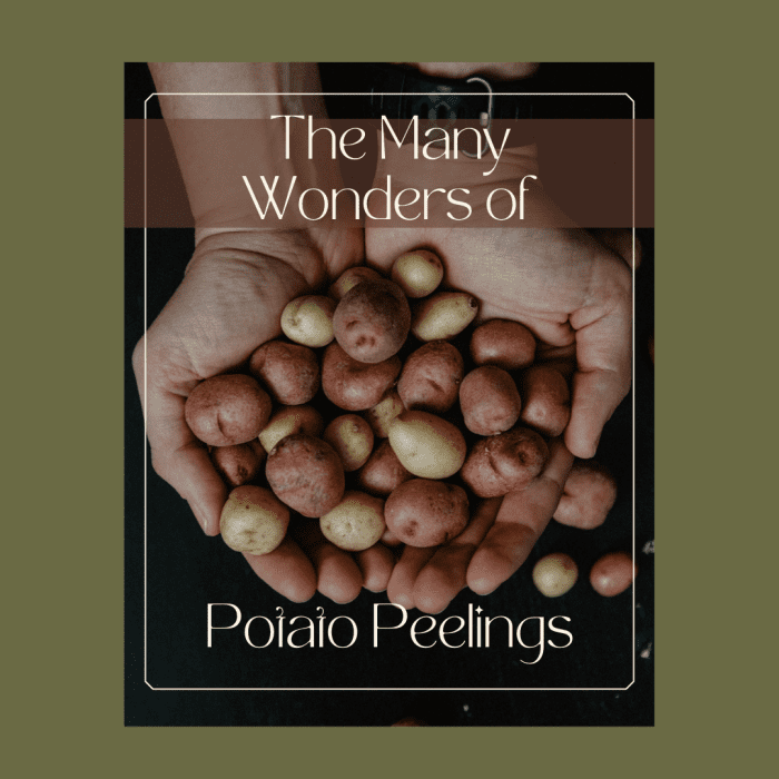 20 Ways to Use Potato Peels Delishably