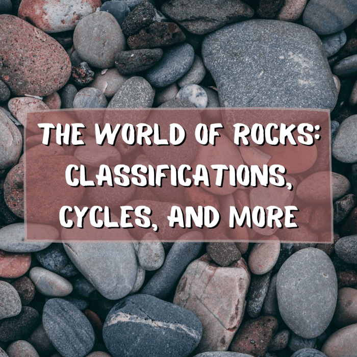 Learn everything you need to know about rocks. This article teaches you about petrologists, rock classifications, the rock cycle, and more!