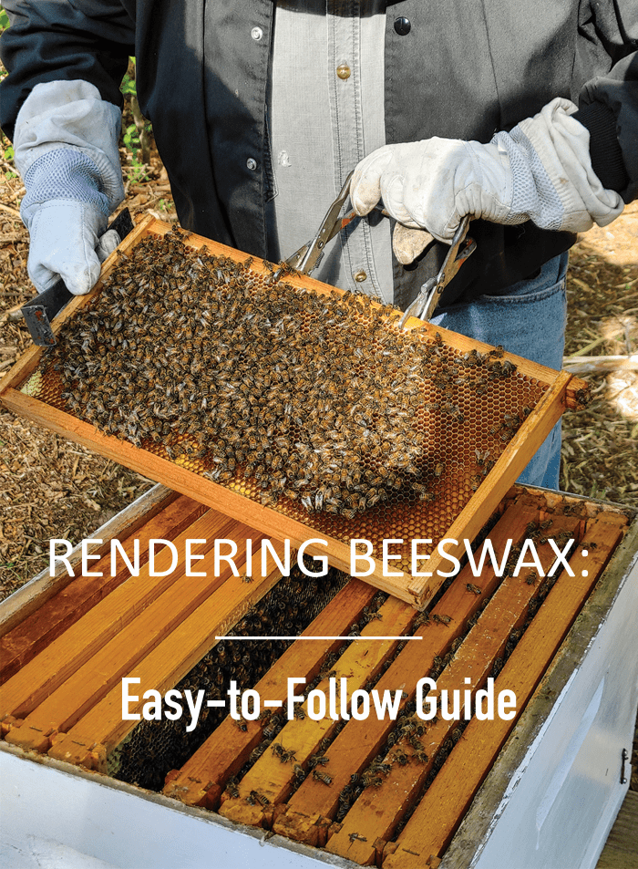 Learn to render your own beeswax with this easy-to-follow guide by Amanda Payne.