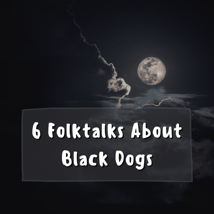 This article discusses 6 intriguing stories about mysterious black dogs in the British Isles and elsewhere. Read on to find your favorite canine folktale.