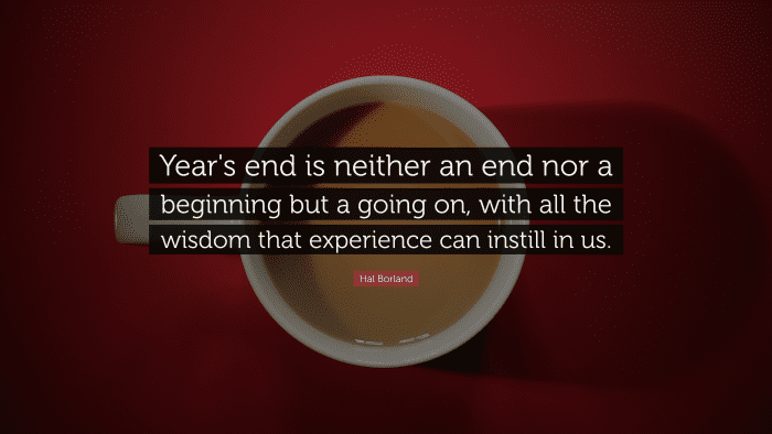 "Year's end is neither an end nor a beginning but a going on, with all the wisdom that experience can instill in us." ― Hal Borland