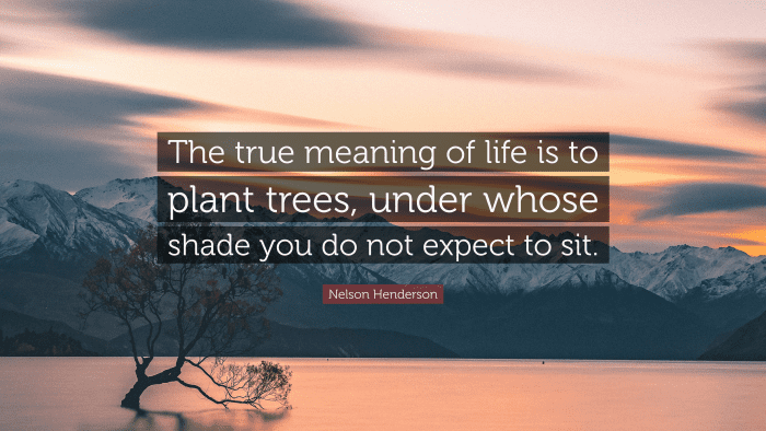 "The true meaning of life is to plant trees, under whose shade you do not expect to sit." ― Nelson Henderson