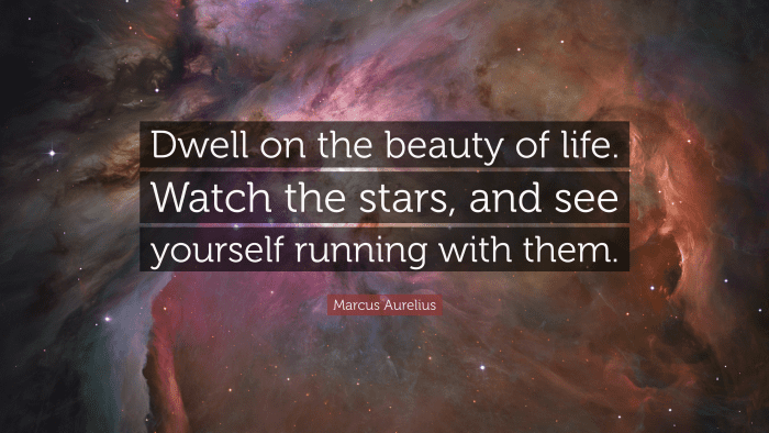 “Dwell on the beauty of life. Watch the stars, and see yourself running with them.” ― Marcus Aurelius