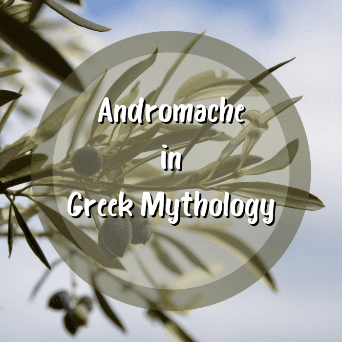 This article discusses Andromache, a mortal who was the wife of Hector, the Trojan prince and warrior. Read on to learn about Andromache's story and her part in Greek mythology.