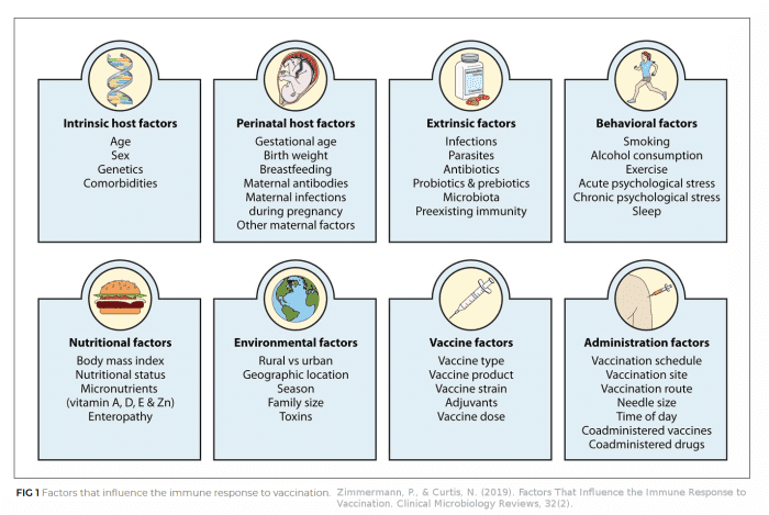 Figure 1. Chart by Zimmermann & Curtis showing factors that influence individual immune response to vaccination.