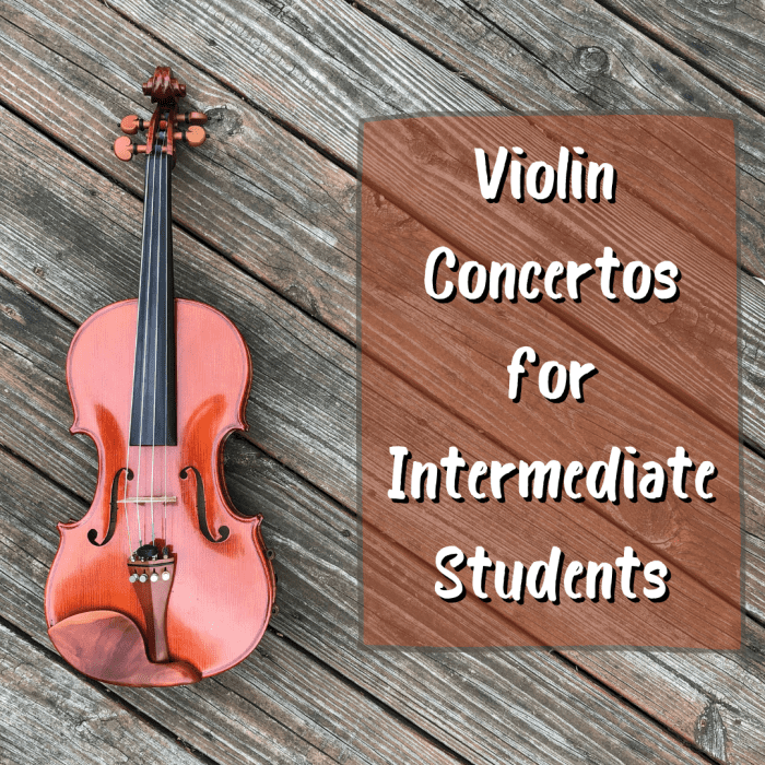 Intermediate Violin Concertos for Students Spinditty