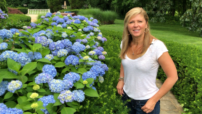 Pruning your hydrangeas in fall may lead to far fewer flowers in spring, as many hydrangea blooms come in on old growth.