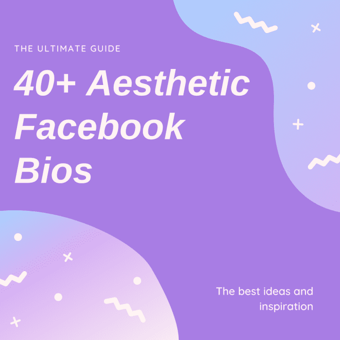 40+ Aesthetic Facebook Bios and Ideas: The Ultimate List - TurboFuture