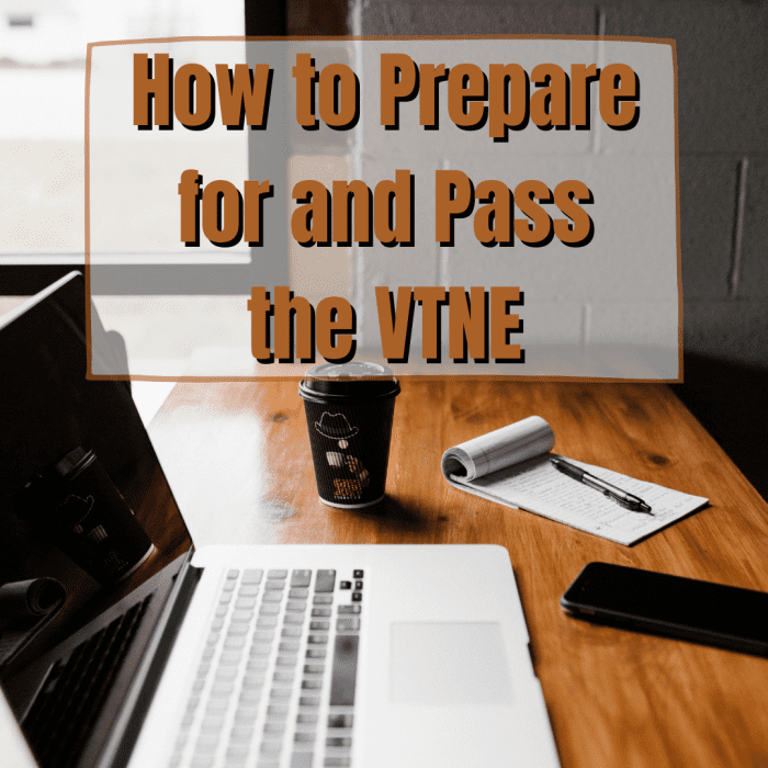 In this article, you'll learn how to prepare for and pass the veterinary technician national examination (VTNE). Read on to learn about the test's format, how to study effectively, and what test day will be like.