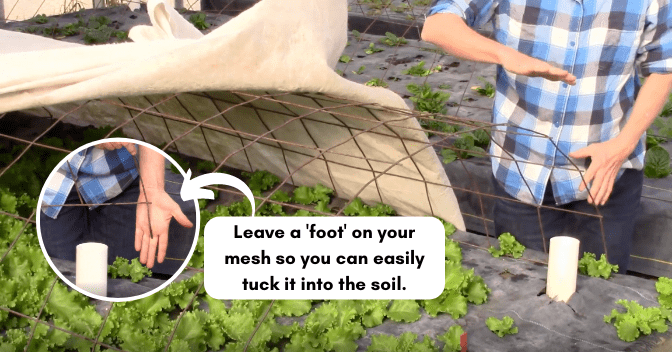 Low tunnels allow you to trap heat in a much smaller area than trying to keep your entire greenhouse warm.
