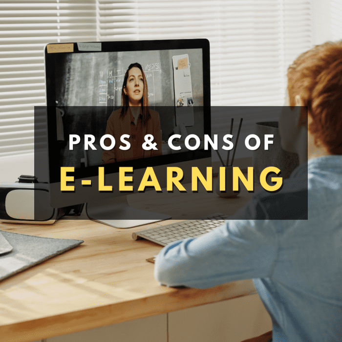 pros-and-cons-of-elearning-hubpages