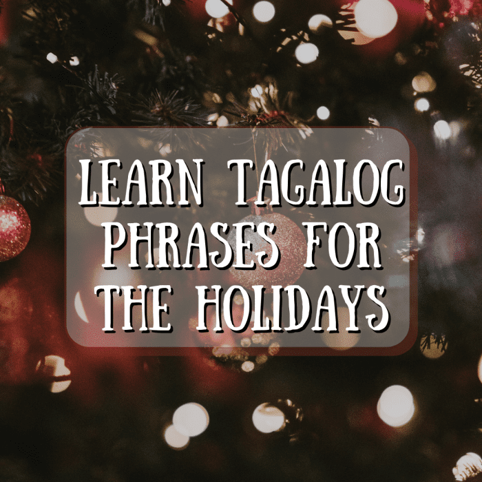 Learning these Tagalog Christmas words and phrases will surprise your family and friends and bring smiles to their faces. Bring some unexpected joy into the home this holiday season!