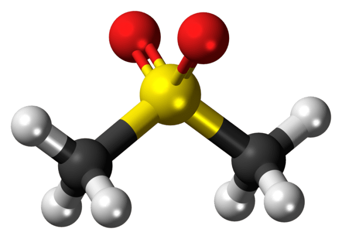 MSM (methylsulfonylmethane) molecule