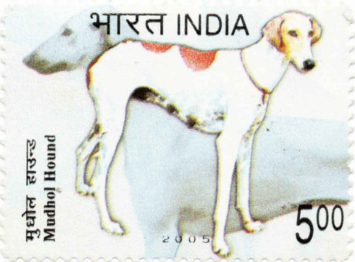 The Royal Dogs of India - HubPages