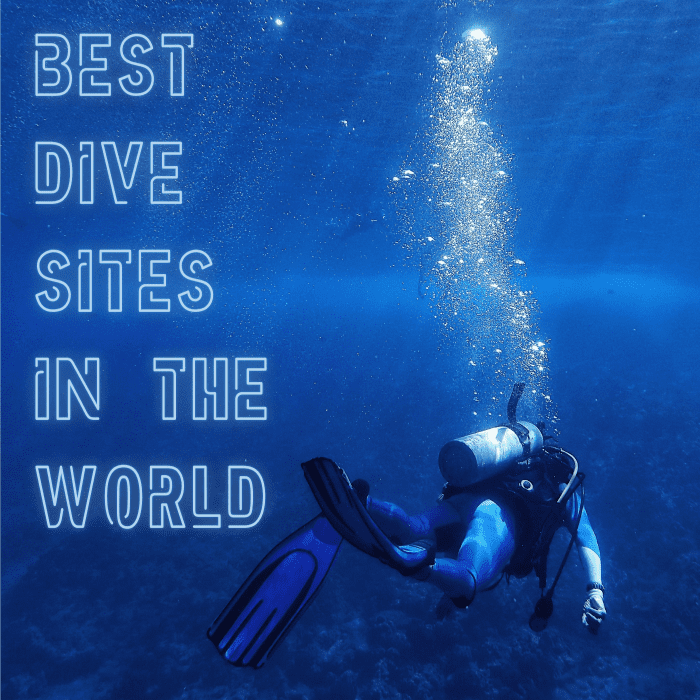 The 10 Best Dive Sites Around the World WanderWisdom